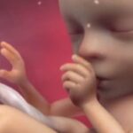 British House of Lords Votes for Abortions Up to Birth