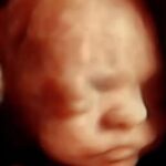 New Hampshire Senate votes down bill to make abortion a right