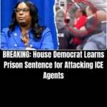 Democratic Lawmaker Faces Up to 17 Years in Prison Over Federal Case Tied to ICE Clash