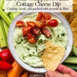 Avocado Cottage Cheese Dip