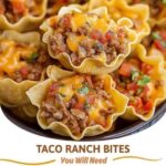 Taco Ranch Bites