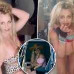 Britney Spears believed to be on cocktail of alcohol and drugs during DUI arrest: cops