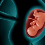 30,000 Doctors Say: “Abortion is Never Medically Necessary to Save a Mother’s Life”