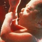 Virginia Democrats Pass Amendment for Abortions Up to Birth