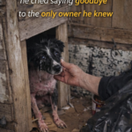 Called ‘Ugly’ for 4 years, he cried saying goodbye to the only owner he knew