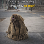 Unloved for being ugly… they didn’t realize they threw away an angel