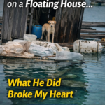 He Was Left Alone on a Floating House… What He Did Broke My Heart