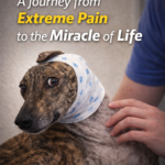 Solange: A Journey from Extreme Pain to the Miracle of Life