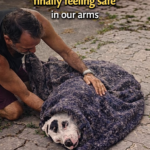 Trembling in a blanket… he cried finally feeling safe in our arms