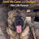 Unwanted and Suffering — Until We Came and Changed Her Life Forever
