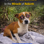 Gustavo: A Journey from the Pain of Abandonment to the Miracle of Rebirth