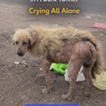 Please, stop ! People stone him, and he hides in a dark tunnel, crying all alone