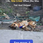 Eva: From the Cruelty of Chains to a Miracle in a New Land