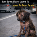 Lillian: From Frozen Terror to the Awakening of Trust