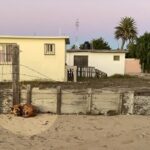 Labeled ‘Ugly’ for years, his reaction when someone hugged him made us cry