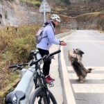 From Stranger to Family: The Journey of 5 Encounters and a Life-Changing Decision for a Stray Dog