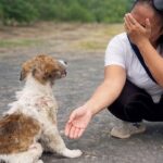 This Puppy Looked at Her Innocently… And She Broke Down Crying