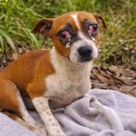 Gustavo: A Journey from the Pain of Abandonment to the Miracle of Rebirth