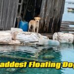 He Was Left Alone on a Floating House… What He Did Broke My Heart