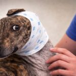 Solange: A Journey from Extreme Pain to the Miracle of Life