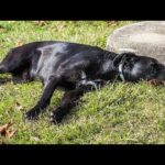 Lisa: From the Arms of a Homeless Man to a Journey of Hope