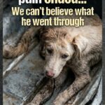 5 years of silent pain ended… We can’t believe what he went through