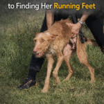 A Hunter Didn’t Want Her Anymore Because She was Paralyzed