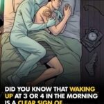 The 3 AM Phenomenon: Your Body’s Secret Alarm and the Journey Your Brain Takes While You Sleep
