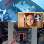 The footage is now being matched against sworn testimony — and what the cameras captured inside the truck is painting a far more disturbing sequence than anyone expected…