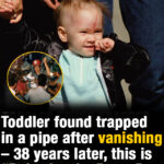 Toddler found trapped in a pipe after vanishing – 38 years later, this is ‘Baby Jessica’ now