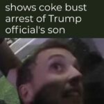 ‘Stop dropping names’: Video shows coke bust arrest of Trump official’s son
