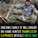 Family of millionaire hunter killed by elephants reveals awful way they learned of his death