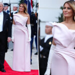 Melania Trump is pretty in pink in couture Dior gown at state dinner