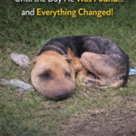 He Lay There, Alone in Agony — Until the Day He Was Found… and Everything Changed!