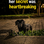 A terrified dog led us into the park… her secret was heartbreaking
