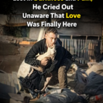 “Don’t Hurt Me…” Lost in Darkness and Pain, He Cried Out Unaware That Love Was Finally Here