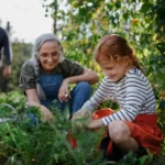 From autism to migraines, birth order may have wide-reaching effects