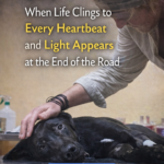 Zaino: When Life Clings to Every Heartbeat and Light Appears at the End of the Road