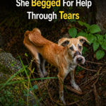 Mouth Sealed Tight — She Begged For Help Through Tears