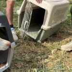 15 Months in a Tiny Space: The First Steps of Freedom for Two Poor Souls