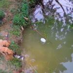 A Miracle of Unity: The Rescue of a Puppy Trapped in a Pond