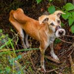 Mouth Sealed Tight — She Begged For Help Through Tears