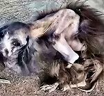 She screamed when she saw her! What she learned afterward was simply HORRIBLE!