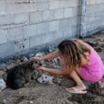 He survived on gravel… until a traveler’s love changed his world forever