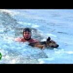 Title: A Hero Amidst the Ice: The Breathless Rescue of an Exhausted Dog Trapped in Frozen Waters