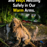 “I longed for a hug!” She wept nestling safely in our warm arms
