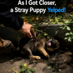 Roar: The Tiny Yelp and Destiny Under the Bushes