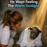 Locked in darkness all his life, he wept feeling the warm sunlight
