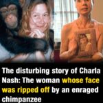 The sad story of Charla Nash, the woman whose face was ripped off by an chimpanzee