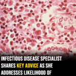 Infectious disease specialist shares key advice as she addresses likelihood of hantavirus spreading worldwide